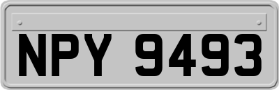 NPY9493