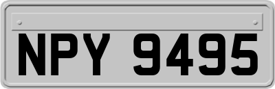 NPY9495