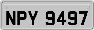 NPY9497