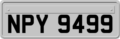 NPY9499