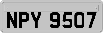 NPY9507