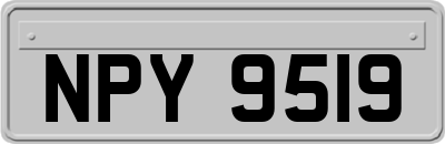 NPY9519