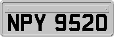 NPY9520
