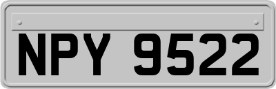 NPY9522