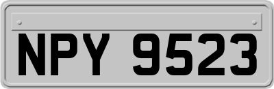 NPY9523