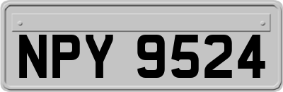 NPY9524