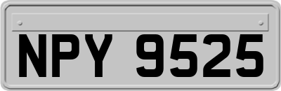 NPY9525