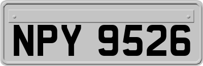NPY9526