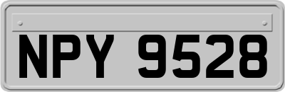 NPY9528