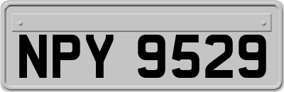NPY9529