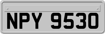 NPY9530