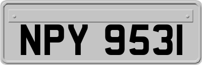 NPY9531