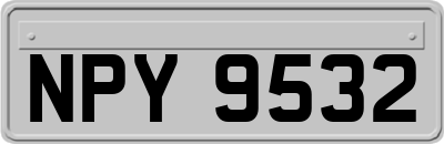 NPY9532
