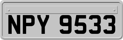 NPY9533