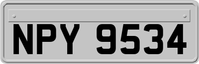 NPY9534
