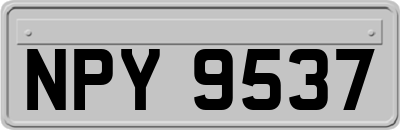 NPY9537