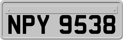 NPY9538