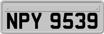 NPY9539