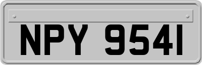 NPY9541