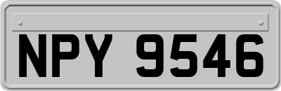 NPY9546