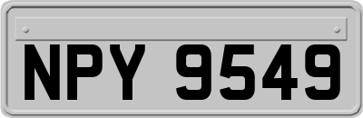 NPY9549