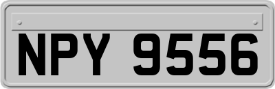NPY9556