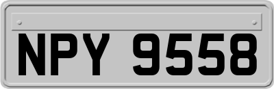 NPY9558