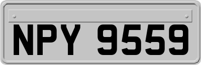 NPY9559