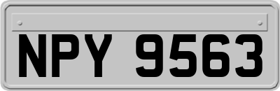 NPY9563