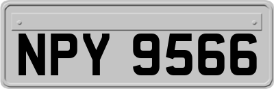 NPY9566