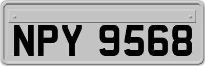 NPY9568