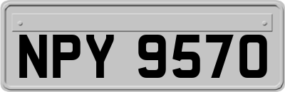 NPY9570