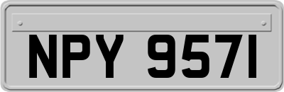 NPY9571