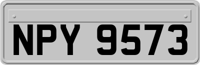 NPY9573