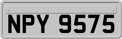 NPY9575