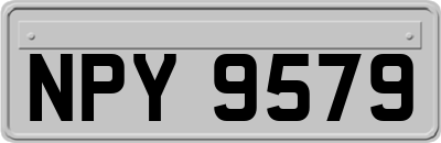 NPY9579