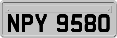 NPY9580