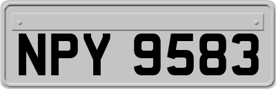 NPY9583