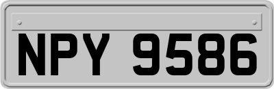 NPY9586