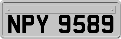 NPY9589