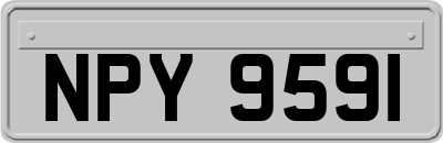 NPY9591