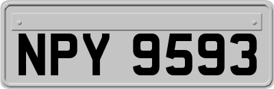 NPY9593