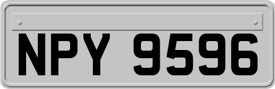 NPY9596