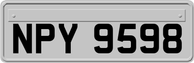 NPY9598