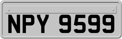 NPY9599