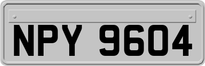 NPY9604