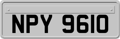 NPY9610
