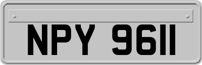 NPY9611