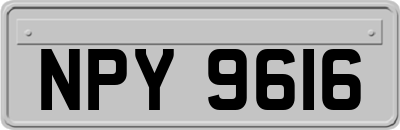 NPY9616