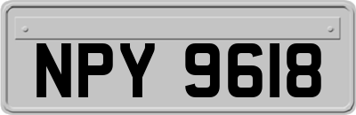 NPY9618